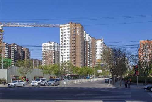 浙江菠萝格价格多少钱